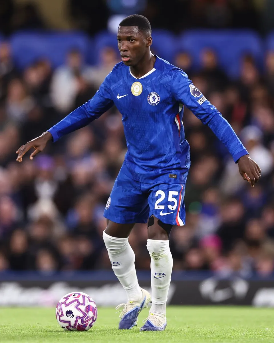 青春草视频注册网址