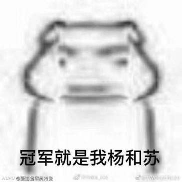 求一个杨和苏的表情包