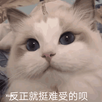各位,来点猫的动态图可以吗?