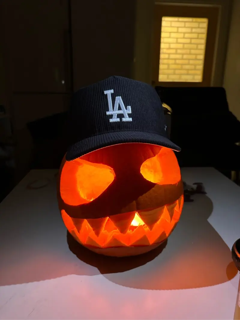 黄色软件app大全免费下载2024安装手机版正版免费