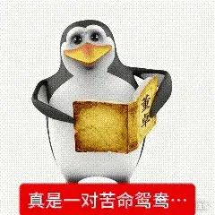 鉴黄师app免费下载安装官网app平台