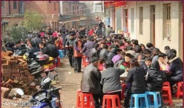 是全村吃饭蛇讷