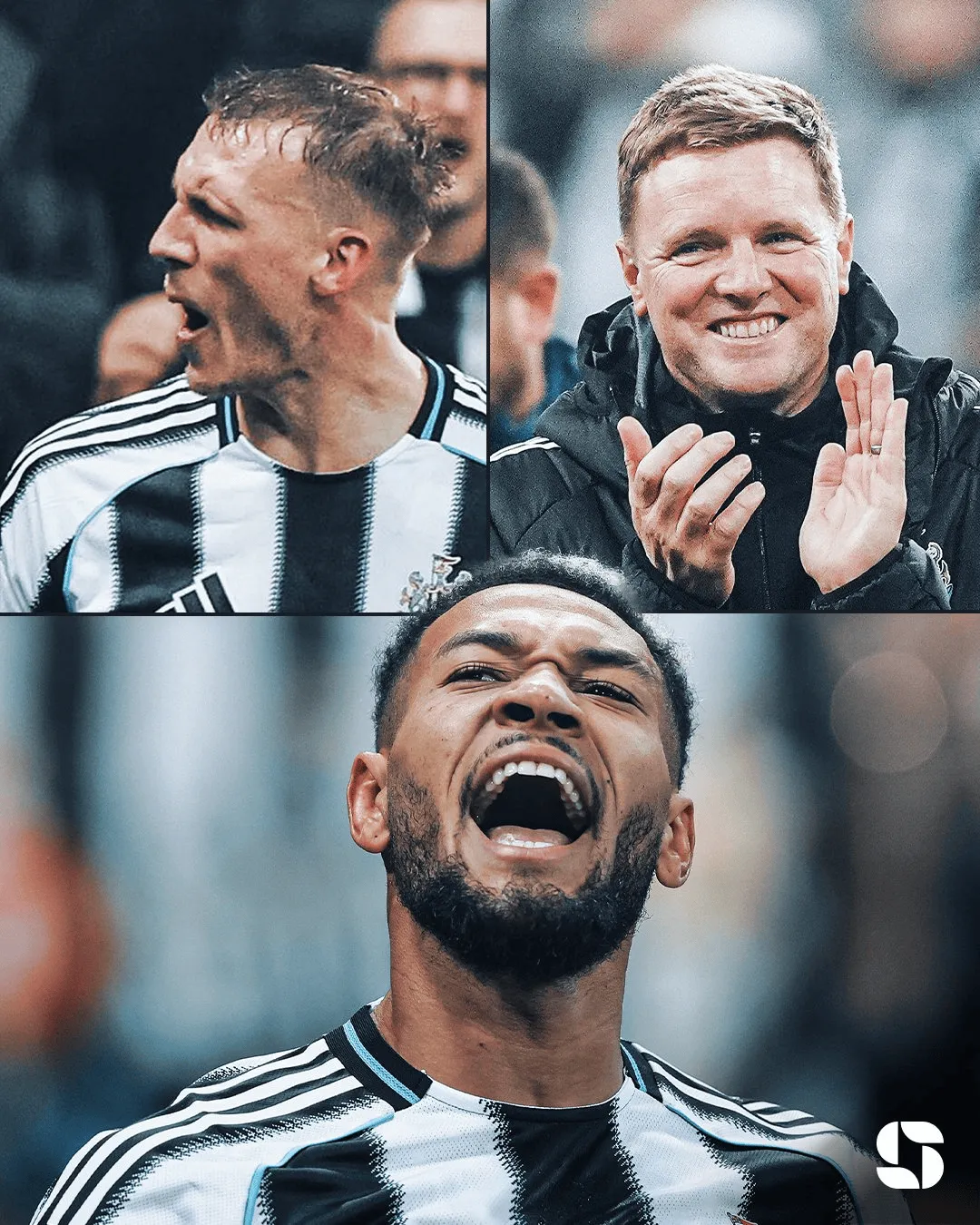 叼嘿软件wwwwww官网网址