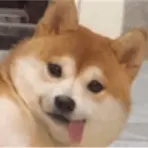 黄品汇在线观看app网址下载