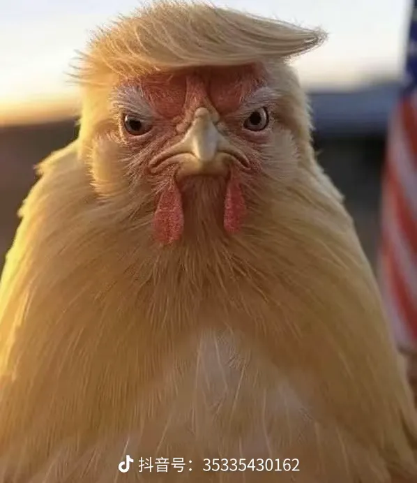 >kaiyun全站登錄網(wǎng)頁入口2024最新版