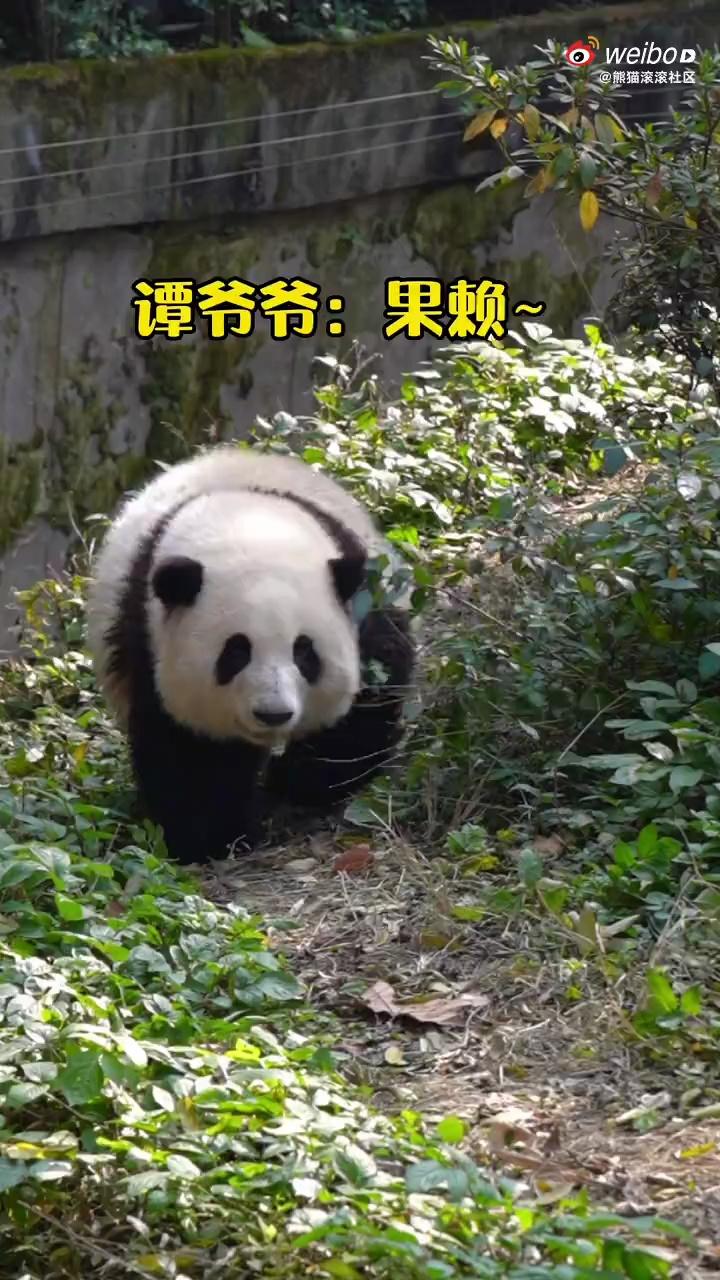 video-poster