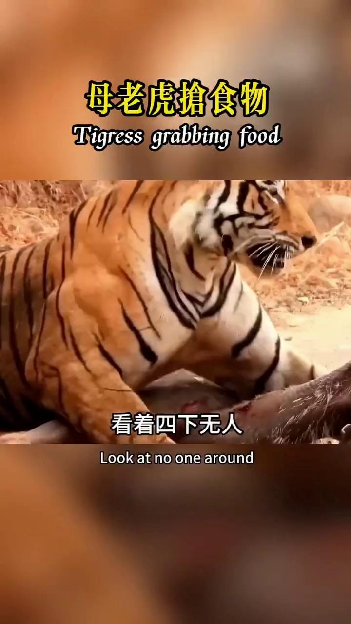 捡尸 