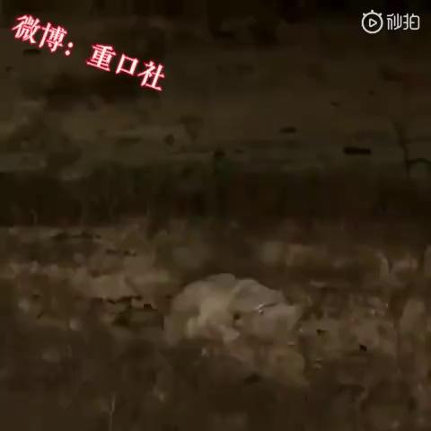 video-poster