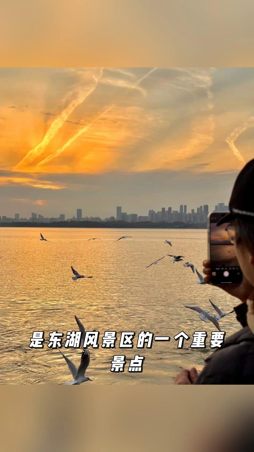 video-poster