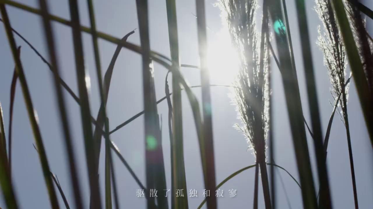 video-poster