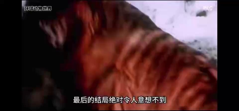 video-poster