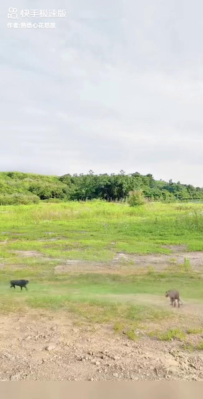 video-poster