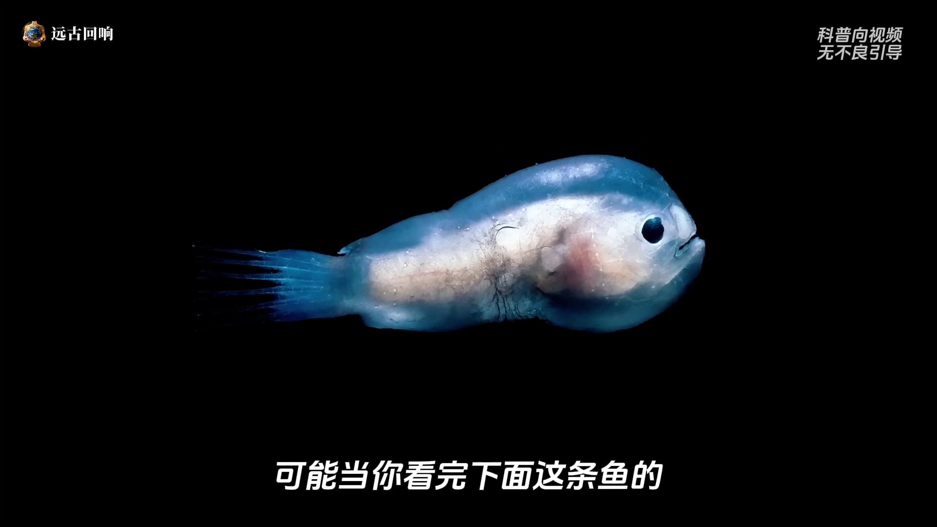 video-poster