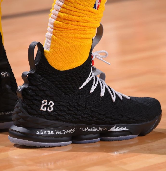 lebron 15 jordan