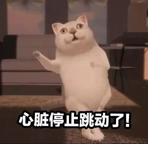 最近很火的mur猫表情包 给jrs整了个合集 步行街主干道 虎扑社区