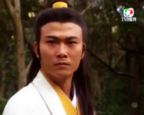 星光更加璀璨:一部被逼出来的经典,如何评价95狄龙版包青天?