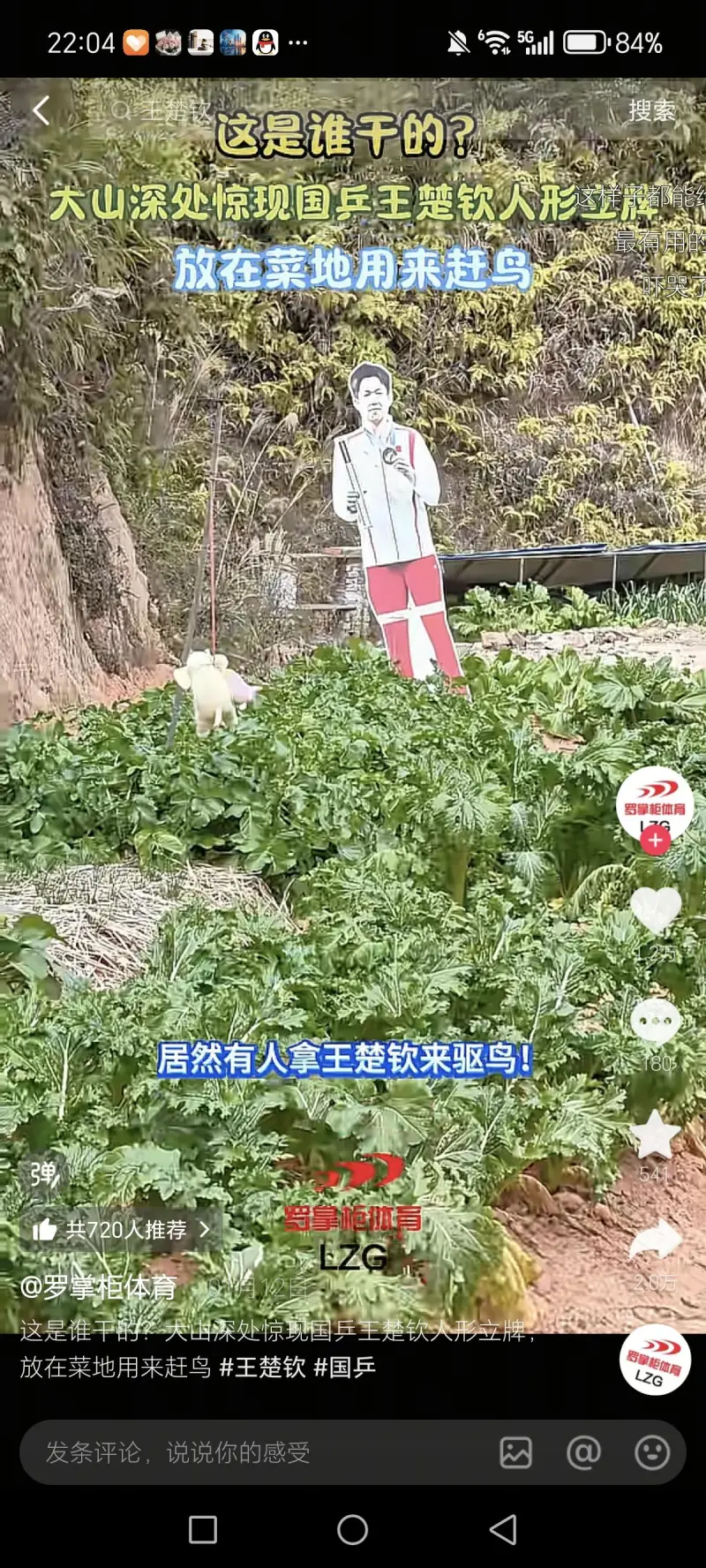 王楚钦立牌被用来驱鸟,你怎么看?-综合体育-乒乓球区-虎扑社区