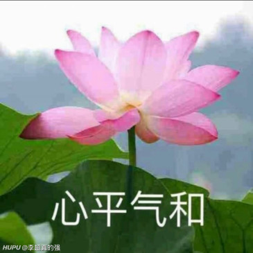 我的微信头像应该是全国范围内最土的! 有谁来战?