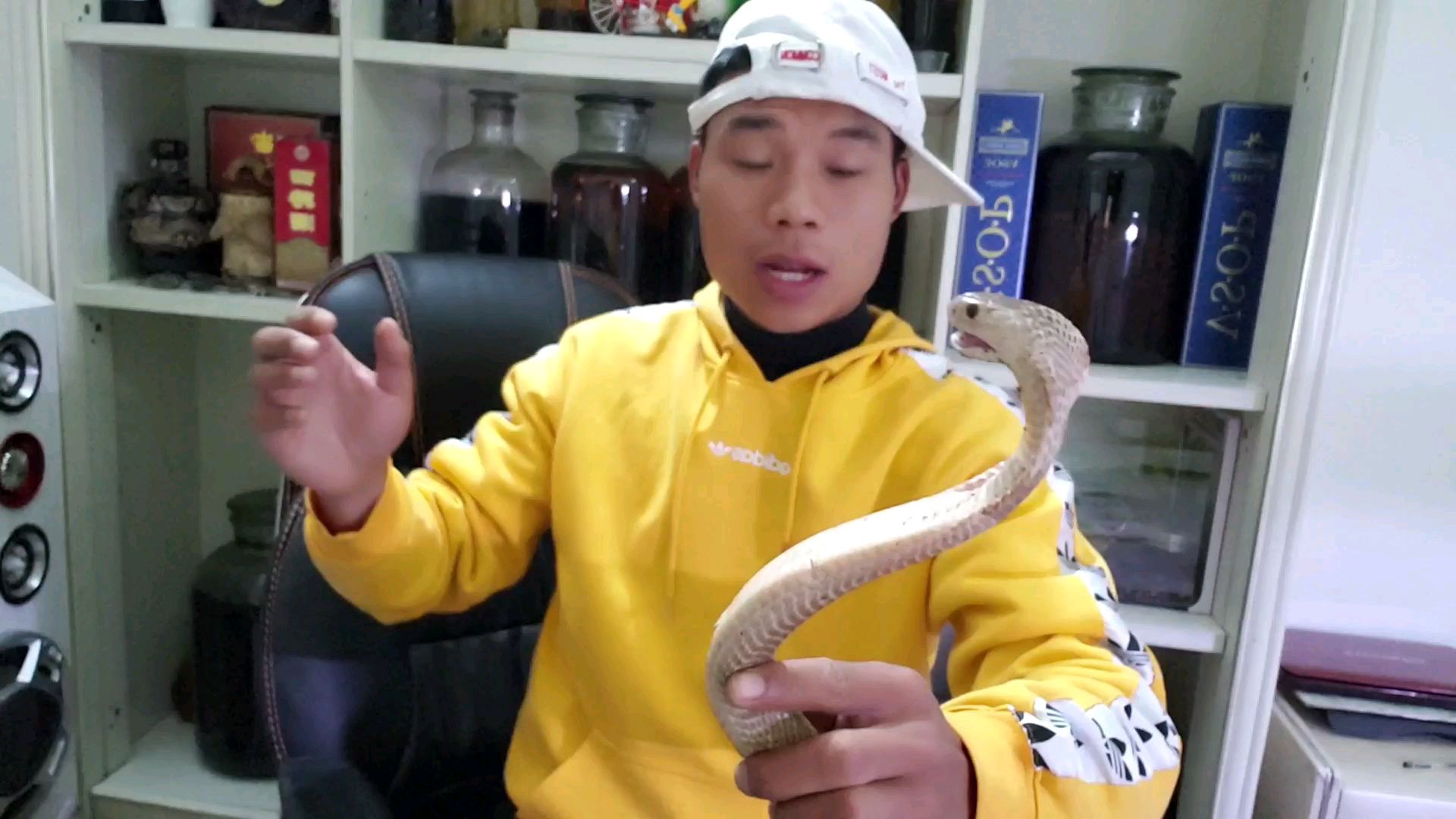 我是斗鱼蛇类科普蛇哥各位jr有什么要问我的吗