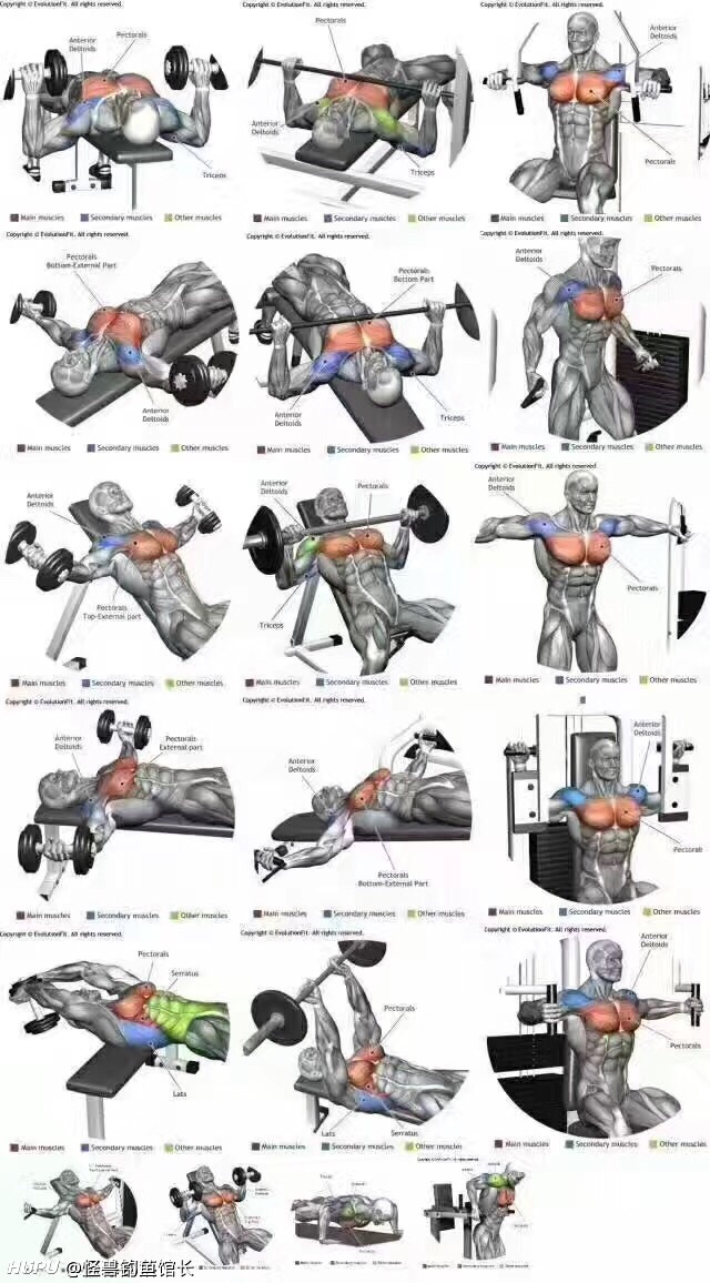 胸肌练到多大可以抖胸?