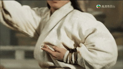 这动画模仿李连杰太极张三丰的动作还挺有趣