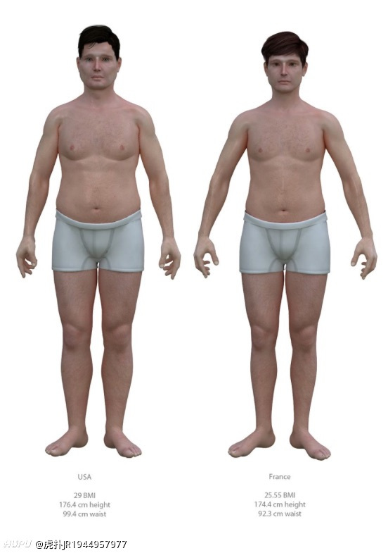 美国 日本 荷兰 法国男人平均体型大数据绘图直观比较 虎扑