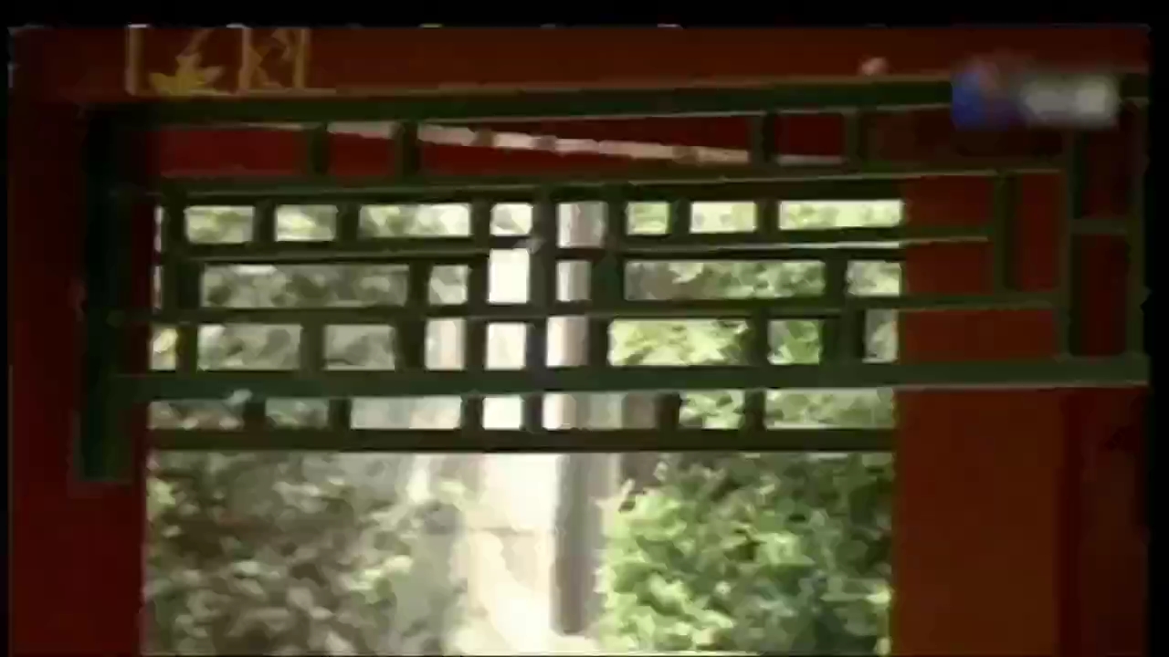 video-poster