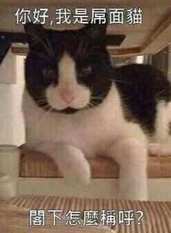 明天体检 求快速降血压的方法!