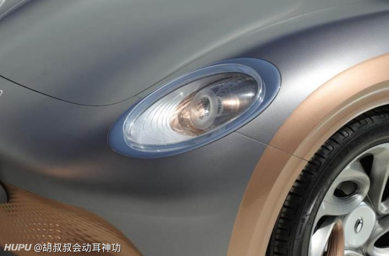 闪电猫一言难尽的屁股 虎扑