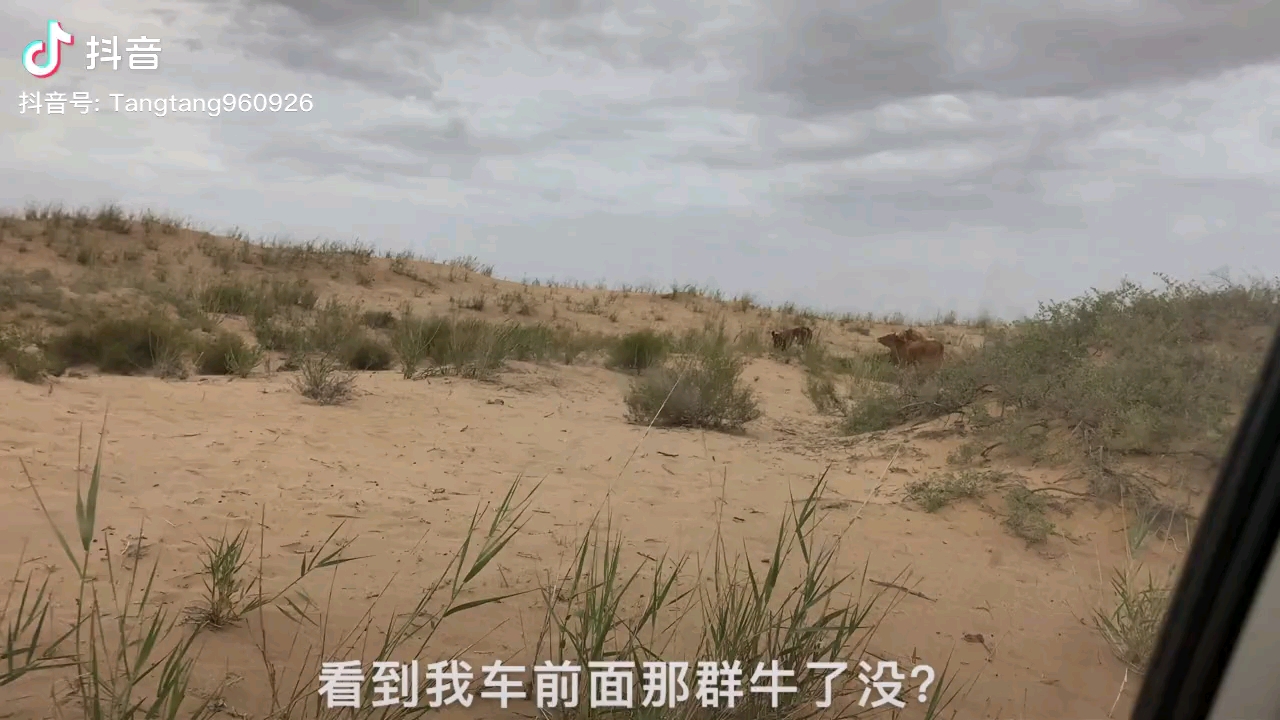 video-poster