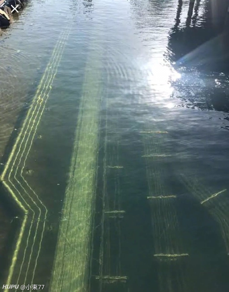 比起深海恐惧症 其实我更严重的是 Submechanophobia 水下人工物恐惧症 虎扑 比起深海恐惧症 其实我更严重的是 Submechanophobia 水下人工物恐惧症 虎扑