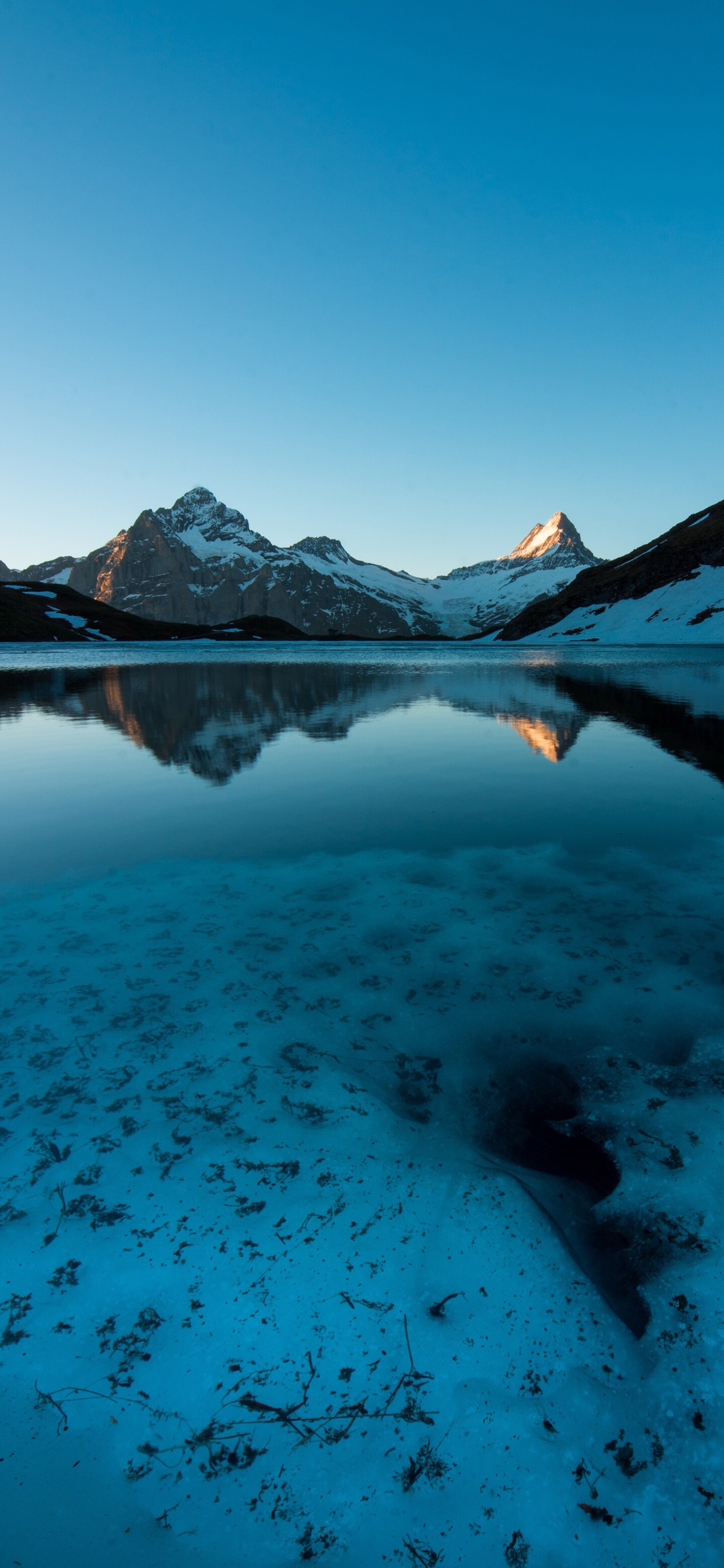 1440_3120竖版 竖屏