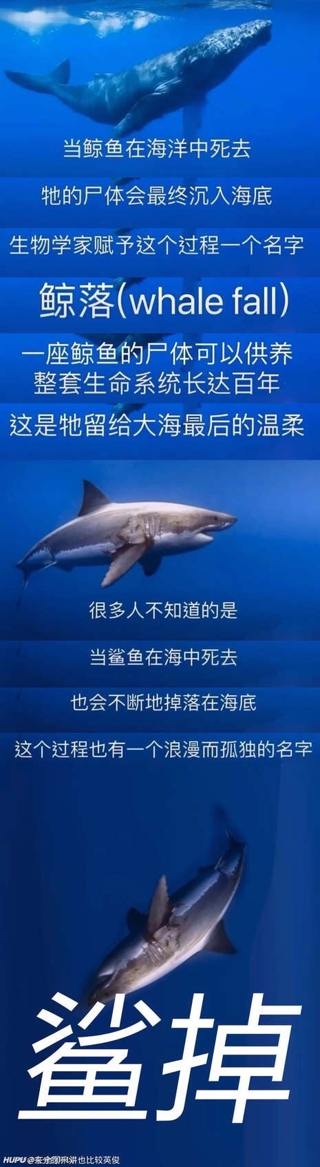 28大的老哥们 山东515分 9万多名理科男生有啥推荐的学校和专业吗 虎扑 28大的老哥们 山东515分 9万多名理科男生有啥推荐的学校和专业吗 虎扑