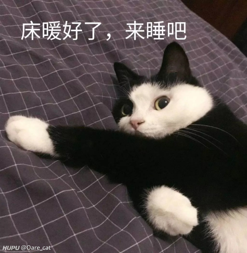 福利就上几个表情吧