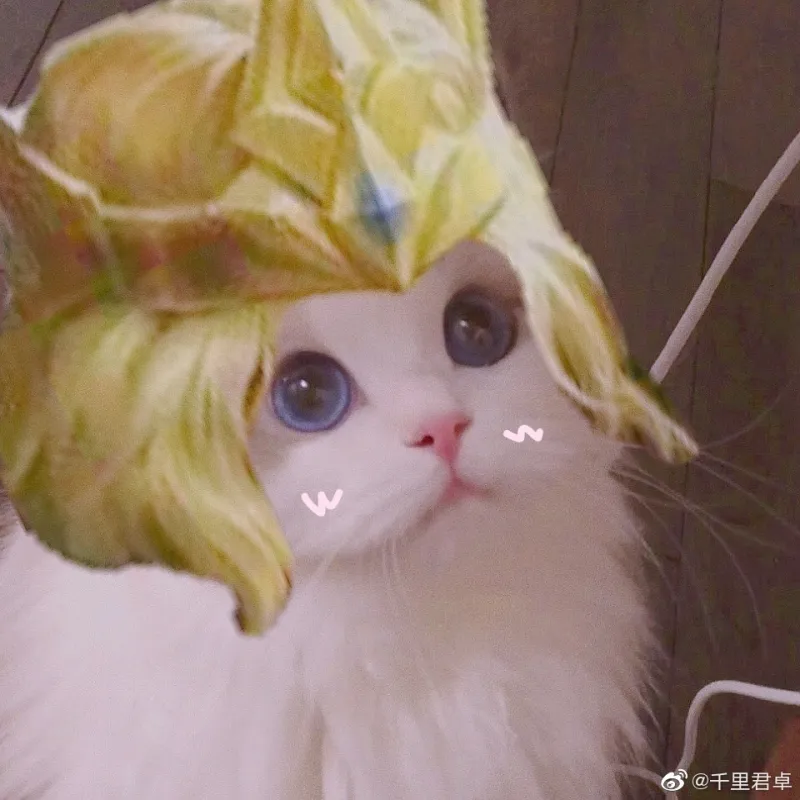 最近好像这只猫猫的王者荣耀头像特别火 给大家整理了一些 第7页 王者荣耀 虎扑社区