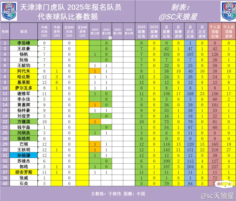 2025年中超 第12轮 天津津门虎队出场数据