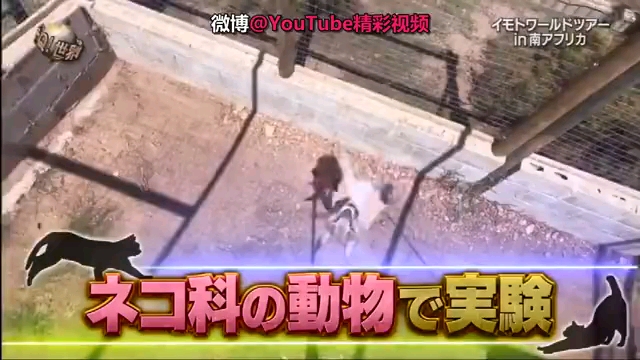 video-poster