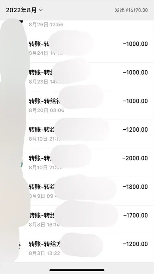 算上支付宝和银行卡转账，一年可以给女人花四十万、我是不是太疯狂了？