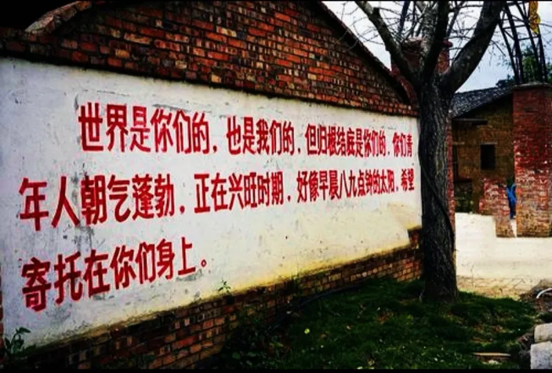 教员壁纸分享-头像壁纸区-虎扑社区