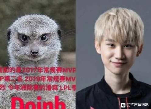 大伙有没有这种累死的选手本体图啊?就阿水柴犬这种的