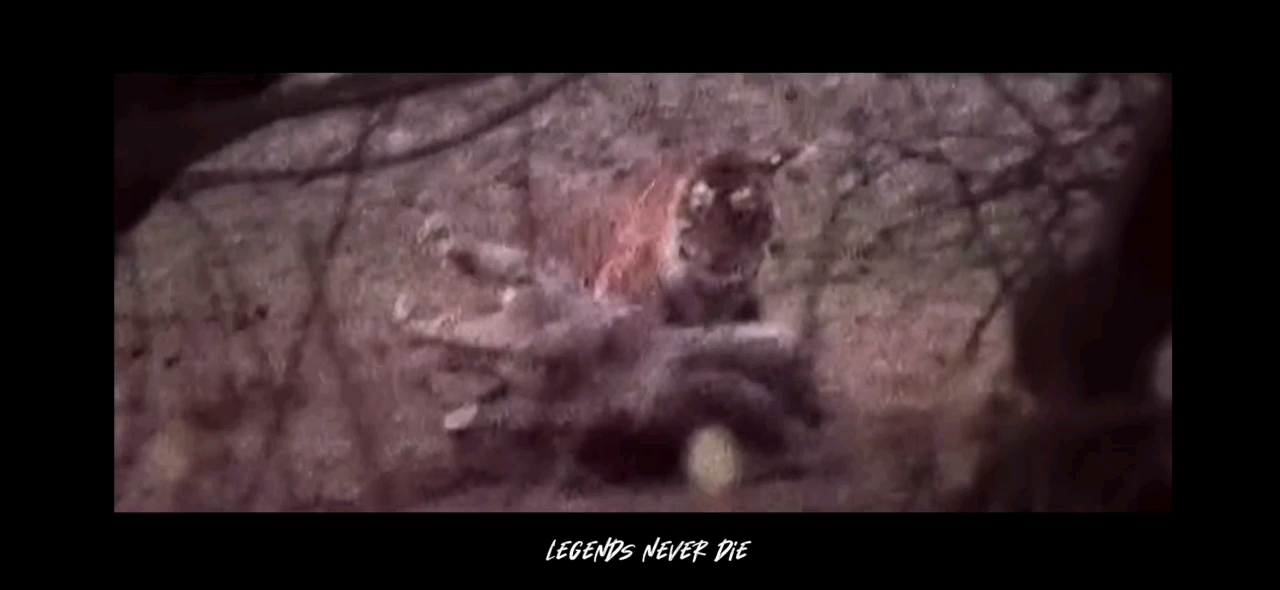 video-poster