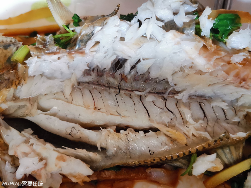 这是寄生虫吗 鲈鱼身上的 虎扑