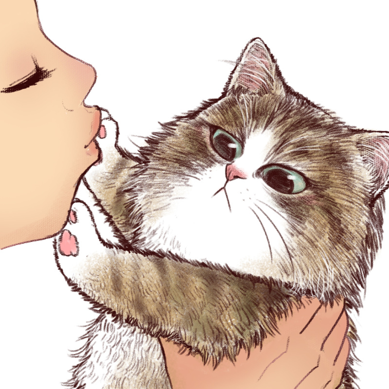 想买个斐讯遗产,k2p 官改固件还是华硕固件