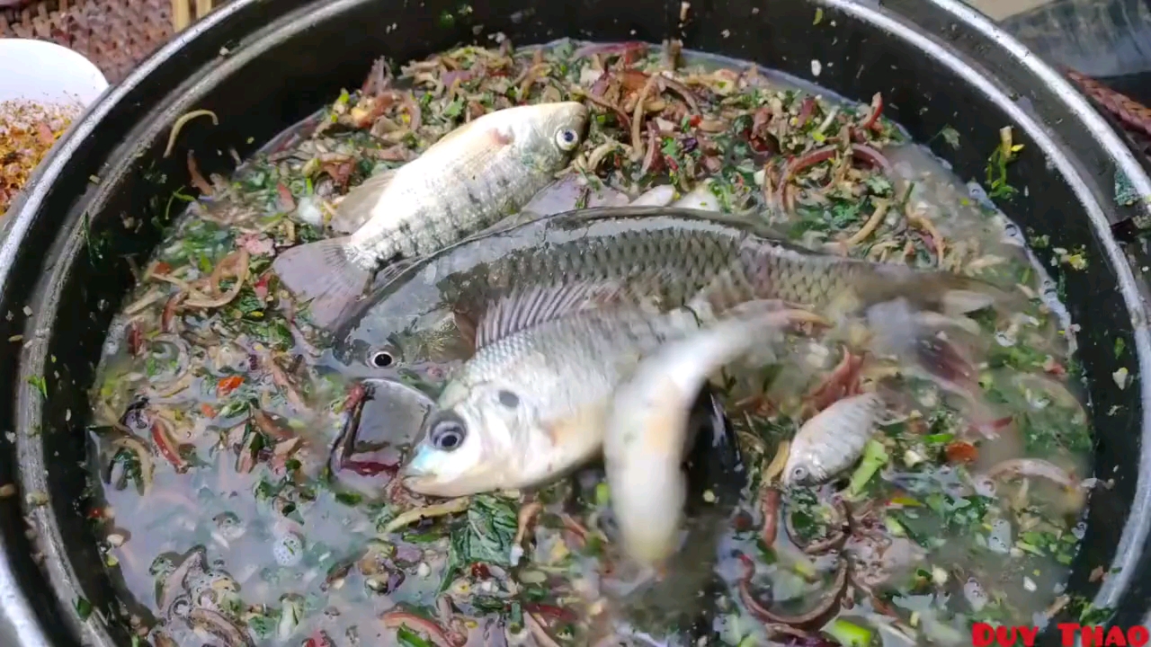 慎入越南人吃生鱼好歹内zang清理一下啊