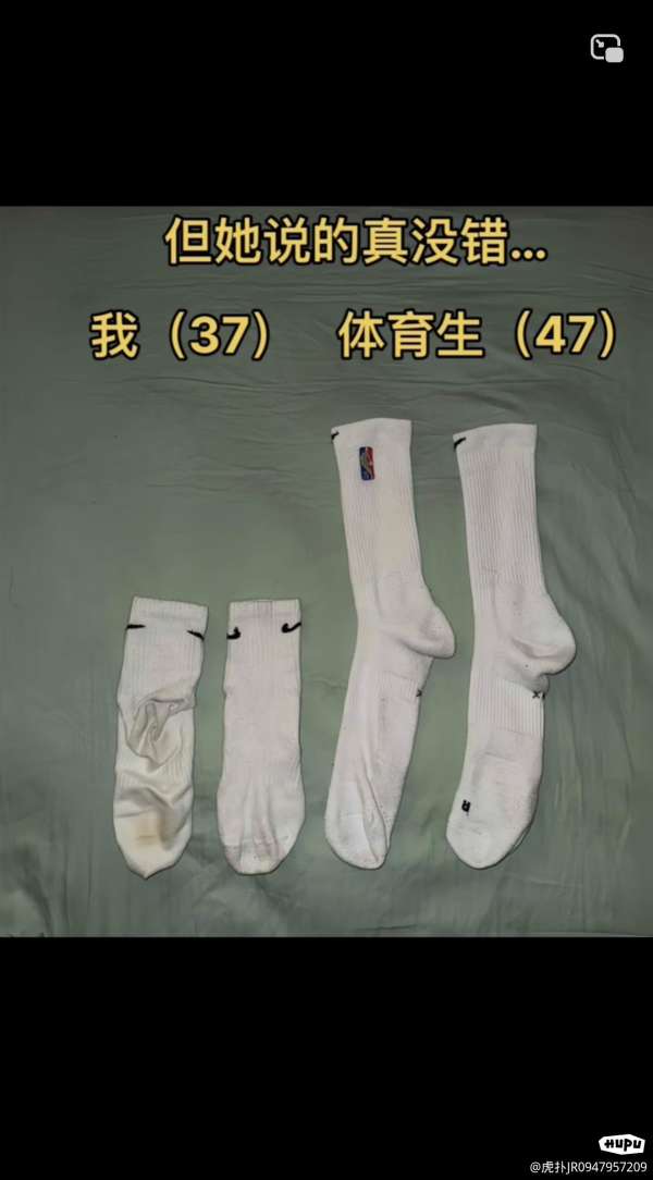 童訓往来新大成 / 西川竜章堂 書