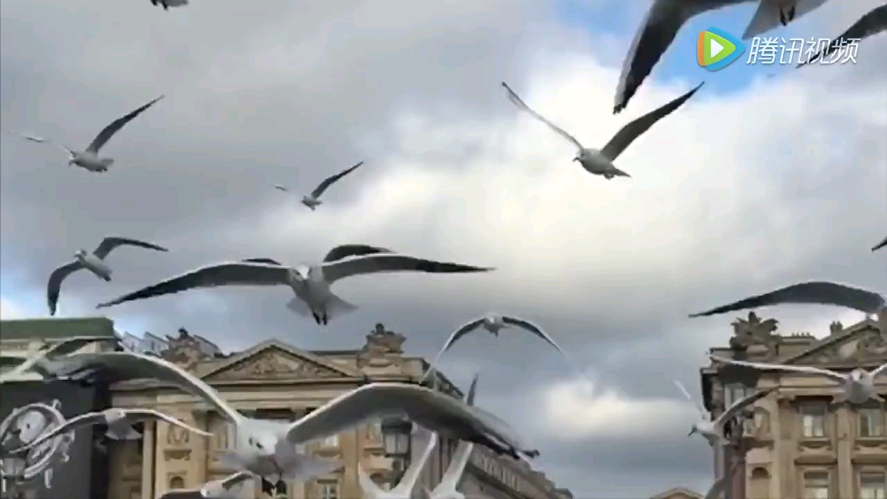 video-poster