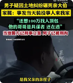 开车碾死大伯男子与哥哥共谋，男子想100万找人顶包