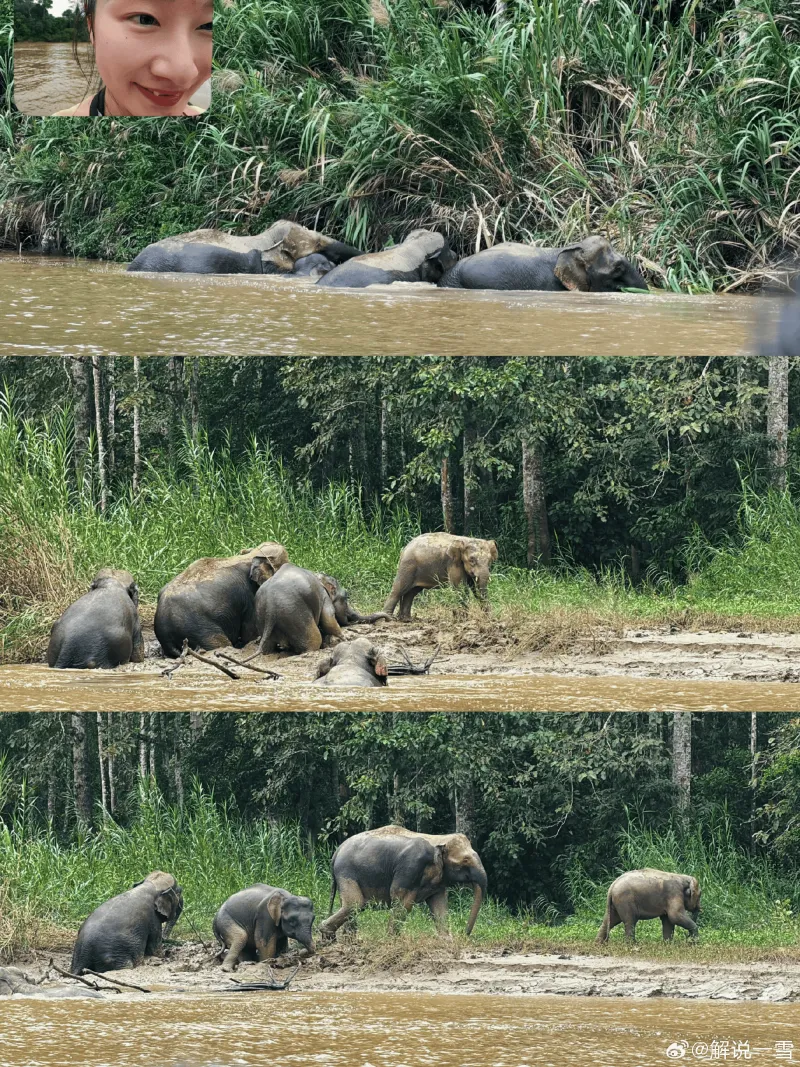 開·云app官方網站下載安裝