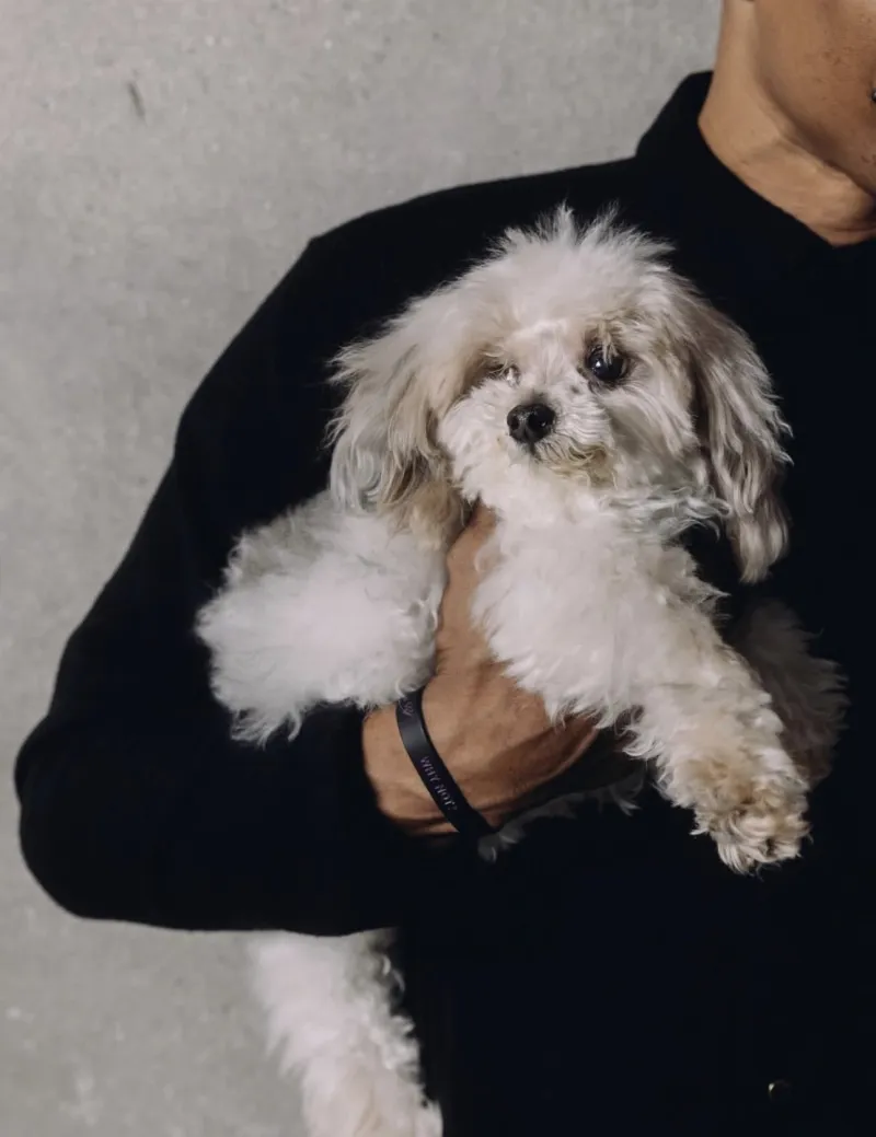 樂魚app官方下載入口(官方)手機APP下載IOS/安卓/網頁登錄入口V5.8.40.25-綠色資源網