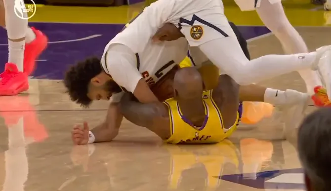 >樂魚app官方下載入口最新版